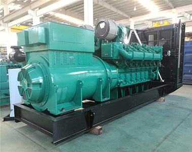 德科1200KW/10.5KV高压发电机应用于海南某养殖业项目